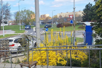 Karviná začíná regulovat umísťování výdejních boxů